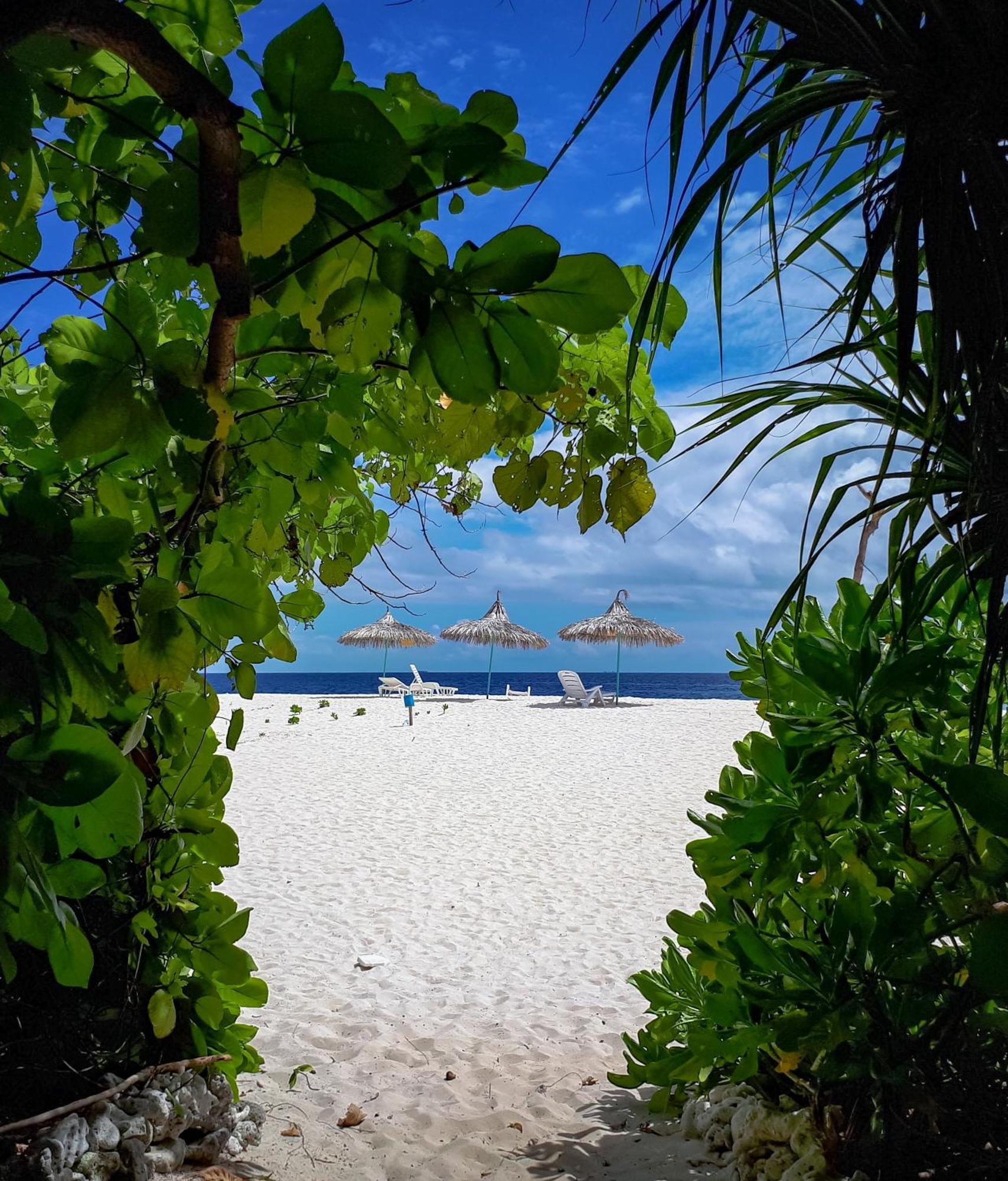 Ukulhas Villa Oceanview Hotel & Spa Exteriör bild